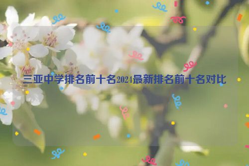 三亚中学排名前十名2024最新排名前十名对比