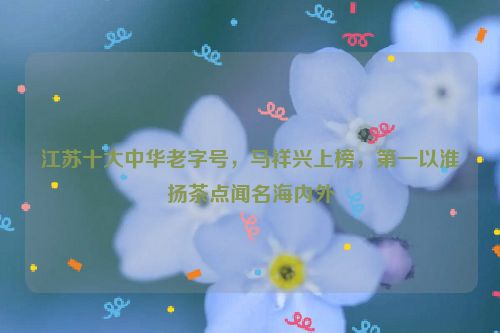 江苏十大中华老字号，马祥兴上榜，第一以淮扬茶点闻名海内外