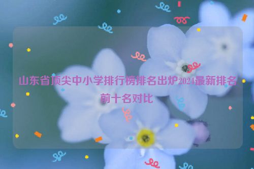 山东省顶尖中小学排行榜排名出炉2024最新排名前十名对比