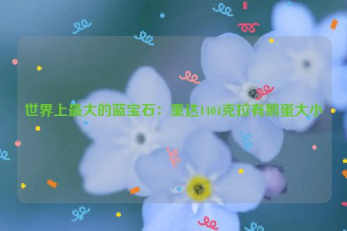 世界上最大的蓝宝石：重达1404克拉有鹅蛋大小