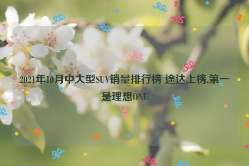 2021年10月中大型SUV销量排行榜 途达上榜,第一是理想ONE