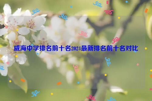 威海中学排名前十名2024最新排名前十名对比