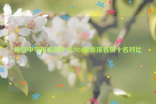 延安中学排名前十名2024最新排名前十名对比