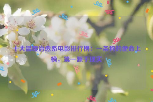 十大温暖治愈系电影排行榜：一条狗的使命上榜，第一源于现实