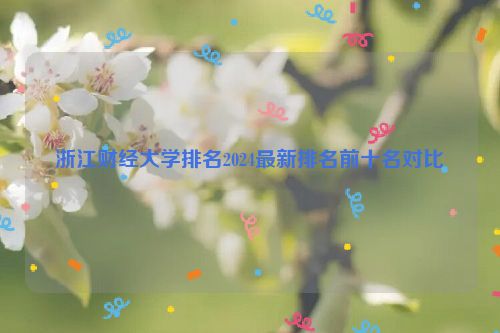 浙江财经大学排名2024最新排名前十名对比