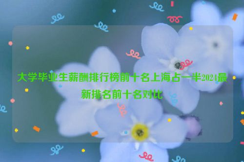 大学毕业生薪酬排行榜前十名上海占一半2024最新排名前十名对比