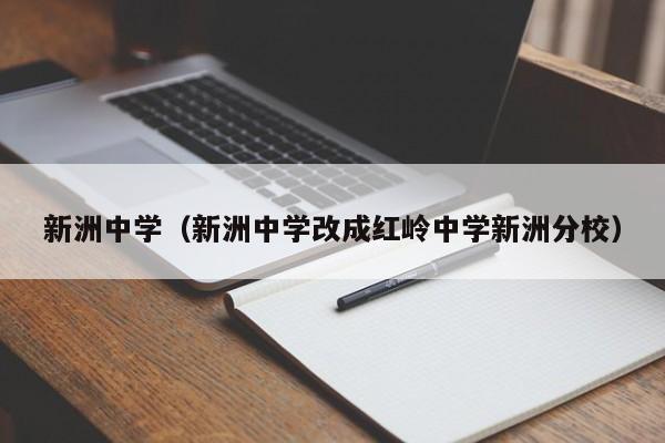 新洲中学（新洲中学改成红岭中学新洲分校）