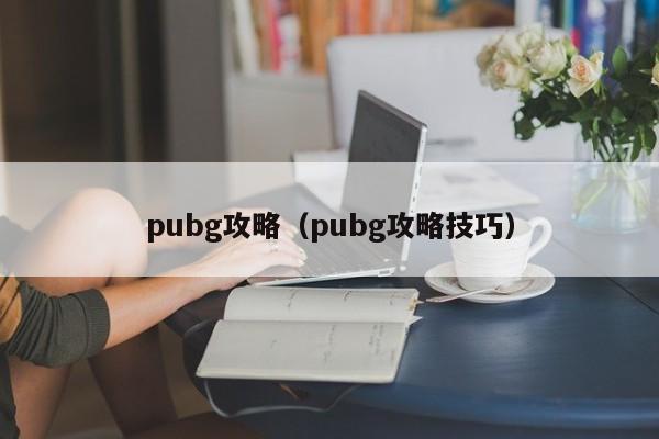 pubg攻略（pubg攻略技巧）