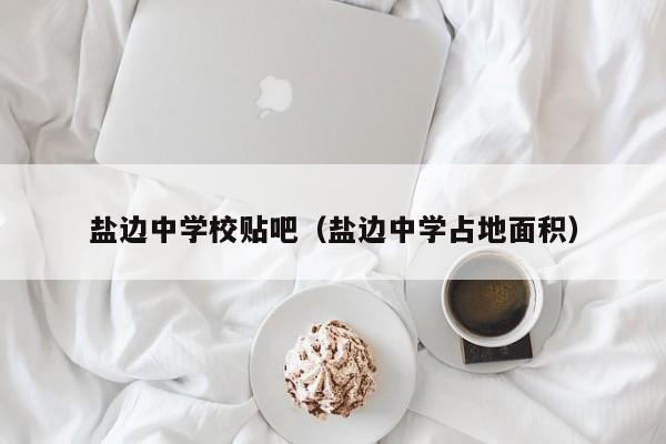 盐边中学校贴吧（盐边中学占地面积）