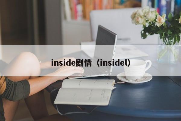 inside剧情（insidel）